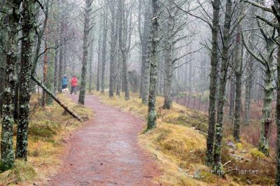 Tursti gjennom skogsholt ved Husebysanden.
Keywords: Husebysanden