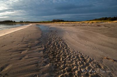 Husebysanden i novembersol
Keywords: Husebysanden
