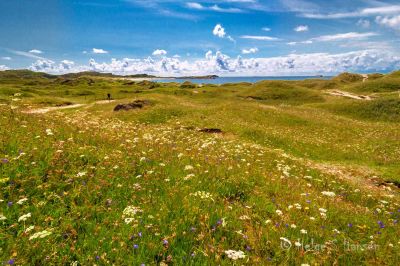 Sommermotiv fra Husebysanden
Keywords: Husebysanden