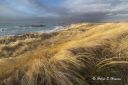 Filename=Husebysanden__030224_0340.jpg
Filesize=248KiB
Dimensions=1300x867
Date added=Feb 19, 2024 Husebysanden__030224_0340.jpg
