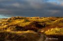 Marehalm_ved_Husebysanden_221222_2542.jpg