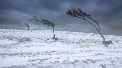 Vintermotiv fra Austre Hauge.
Keywords: Austre_Hauge