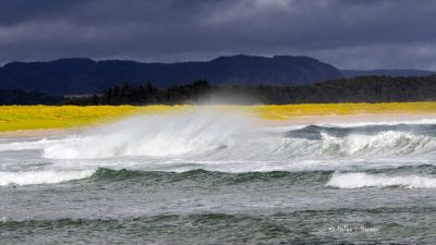 Hanangersanden.
August 2024. Bølger mot Hanangersanden. Marehalmen tar seg godt ut mot den  dypblå bakgrunnen.
Keywords: Hanangersanden