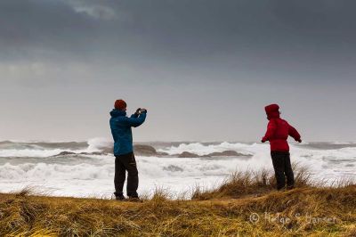 Stå stille.
Ved Tareviga.
Keywords: Kviljosanden;Hanangersanden