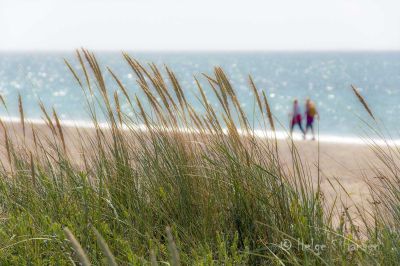 En duft av sommer.
Kviljosanden.
Keywords: Kviljosanden;Hanangersanden