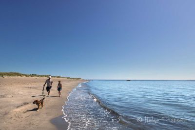 Sommer.
Kviljosanden.
Keywords: Kviljosanden;Hanangersanden