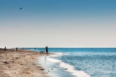Sommer.
Nesheimsanden.
Keywords: Kviljosanden;Hanangersanden