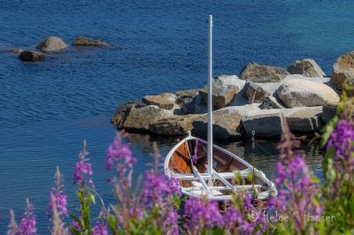 Sommermotiv fra Østhasselstrand
Keywords: Østhasselstrand