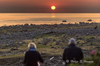 Blir man noensinne lei av solnedganger?
Keywords: Lista_fyr