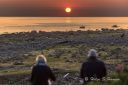 Solnedgang_ved_Lista_fyr_4734.jpg