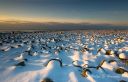 Filename=Ved_Lista_fyr.jpg
Filesize=179KiB
Dimensions=1400x907
Date added=Feb 09, 2024 Ved_Lista_fyr.jpg