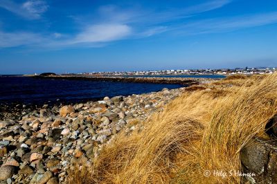 Tjørveneset mot Borhaug
Keywords: Tjørveneset