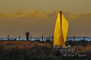 Fugletitter_i_Vagsvollvika_281124_4574.jpg