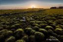 Vagsvollvika_mot_Lista_fyr_310723_3524.jpg