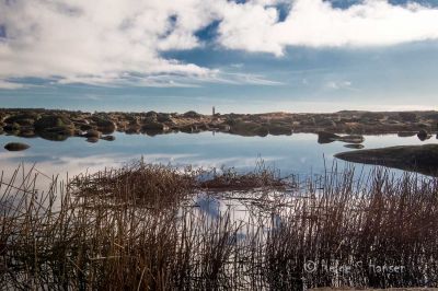 Fugletjønna
Keywords: Steinodden;Ogmundsrøysa