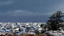 Lista_i_vinterdrakt_16-9_040125_0051.jpg