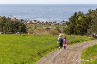 En fredelig plett på jorden for disse to flyktningene
Mot Stavstø
Keywords: Stavstø