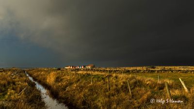 Lyset på Lista - mot Verevågen
Keywords: Lyset_på_LISTA
