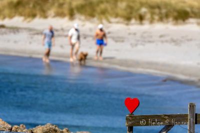 Kom mai du skjønne milde.
Husebysanden i mai 2024.
Keywords: Husebysanden
