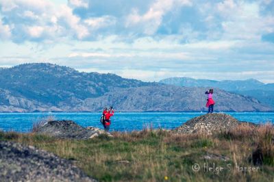 Tur i Listalandskap (Ved Trihaugodden)
Keywords: Trihaugodden
