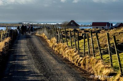 Ut på tur - Mot Verevågen
Keywords: Verevågen