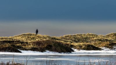 Ved Hanangersanden
Keywords: Kyststien