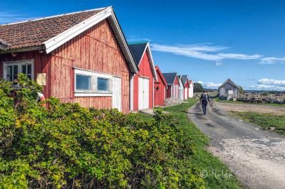 Verevågen.
En tur inn om Verevågen er "obligatorisk".
Keywords: Verevågen