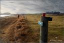 Kyststien-ved-Huseby_280224_0600.jpg
