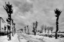 Filename=Vinter_i_Farsund_050125_0088.jpg
Filesize=300KiB
Dimensions=1500x1000
Date added=Jan 15, 2025 Vinter_i_Farsund_050125_0088.jpg