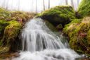 Filename=Bekk_i_takelagt_skog_150324_0747.jpg
Filesize=200KiB
Dimensions=1300x867
Date added=Mar 23, 2024 Bekk_i_takelagt_skog_150324_0747.jpg