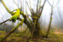 Filename=Dor_sakte_150324_0737.jpg
Filesize=167KiB
Dimensions=1300x867
Date added=Mar 23, 2024 Dor_sakte_150324_0737.jpg