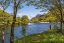 Skit_fiske_ved_Straumen_naturreservat_060615_0802.jpg