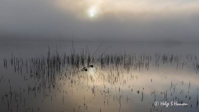 Stemningsbilde fra Krågenesvannet
Keywords: Krågenesvannet