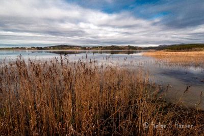 Flott novemberdag ved Hanangervannet.
Keywords: Hanangervannet