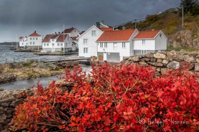 Høst
Keywords: Loshavn