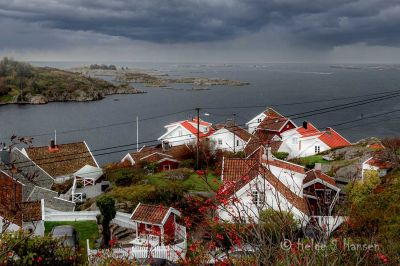Høst i Loshavn.
"Ut Mot Havet", får duge som tittel.
Keywords: Loshavn