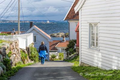 Keywords: Loshavn