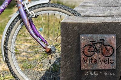 Vita Velo
