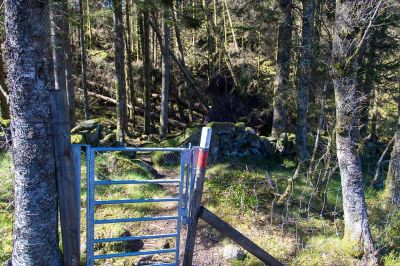 Rotvelte
Fra denne grinda er stien et stykke nærmest ufremkommelig på grunn av rotvelter. Men ta til høyre og litt nedover og gå utenfor rotveltene, så kommer man opp på stien igjen etter hvert. Her blir det nok ikke ryddet med det første.
Keywords: Kjelen
