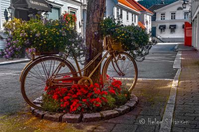Flott blomsterdekorert sykkel.
Keywords: Flekkefjord_by