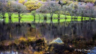 Straumen naturreservat.
Keywords: Straumen