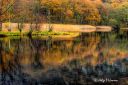 Filename=Straumen_301022_2281.jpg
Filesize=414KiB
Dimensions=1500x1000
Date added=Feb 09, 2025 Straumen_301022_2281.jpg