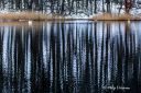 Filename=Straumen__090125_0117.jpg
Filesize=485KiB
Dimensions=1500x1000
Date added=Jan 13, 2025 Straumen__090125_0117.jpg
