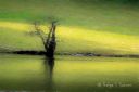 Filename=Straumen__gronnere_pa_andre_siden_240924_3633.jpg
Filesize=79KiB
Dimensions=1300x867
Date added=Sep 29, 2024 Straumen__gronnere_pa_andre_siden_240924_3633.jpg