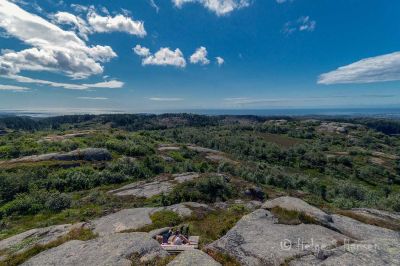 Utsikt fra St.Olavsvarden
Utsikten fra St.Olavsvarden på Ravneheia med sine 360 meter er upåklagelig.  
Keywords: St.Olavsvarden