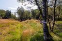 Filename=Ut_pa_tur_-_Solbjorg_310724_2700.jpg
Filesize=315KiB
Dimensions=1300x867
Date added=Sep 04, 2024 Ut_pa_tur_-_Solbjorg_310724_2700.jpg