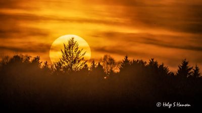 Solnedgang over Torp
Keywords: Torp