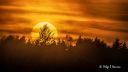 20_16_-_Solnedgang_over_Torp_251204_1175.jpg