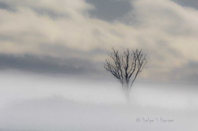 Stemningsbilde med oppvarmet snø som fordunster.
Keywords: Midthassel