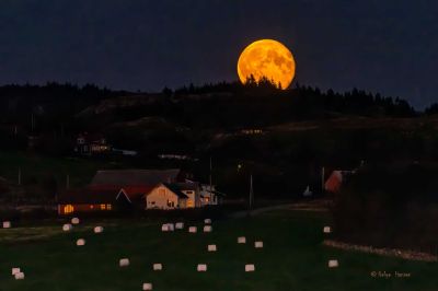 Fullmåne på vei opp over Skeibrok.
Keywords: Skeibrok